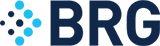 Logo von Berkeley Research Group