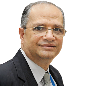 Dr. Youssef Nassef - Director of the Adaptation Programme UNFCCC